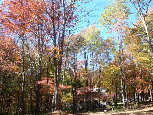 7255 Bear Run Road Logan, OH 43138 - Photo 23 of 25 Gallery Image 23