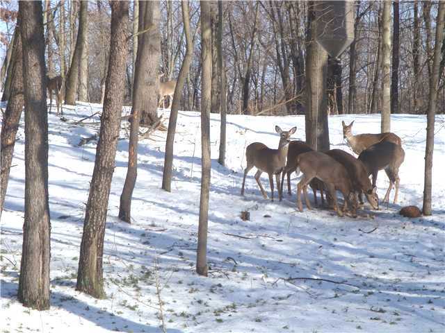 7255 Bear Run Road Logan, OH 43138 - Photo 24 of 25 Gallery Image 24