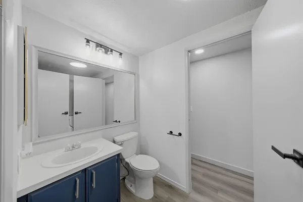 a bathroom with a sink a toilet and a mirror
