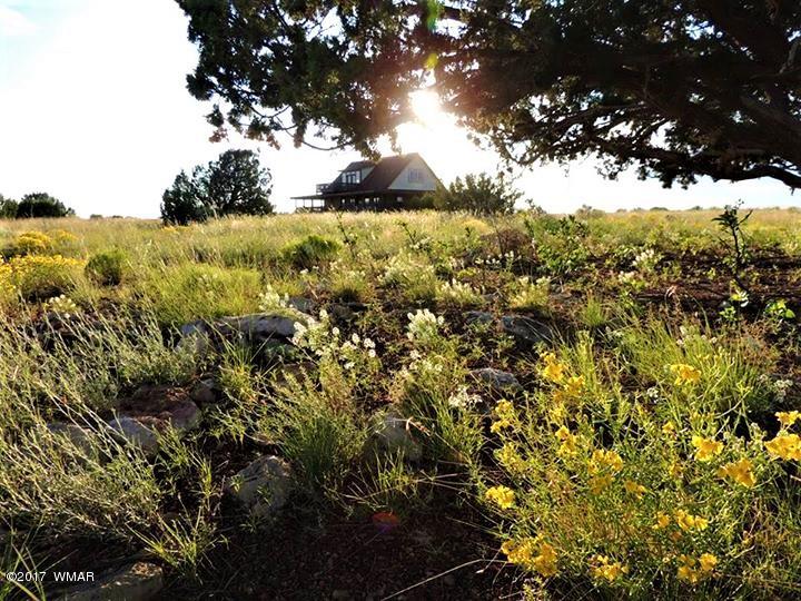 5641 Morgan Hl Road Heber, AZ 85928 - Photo 2 of 38