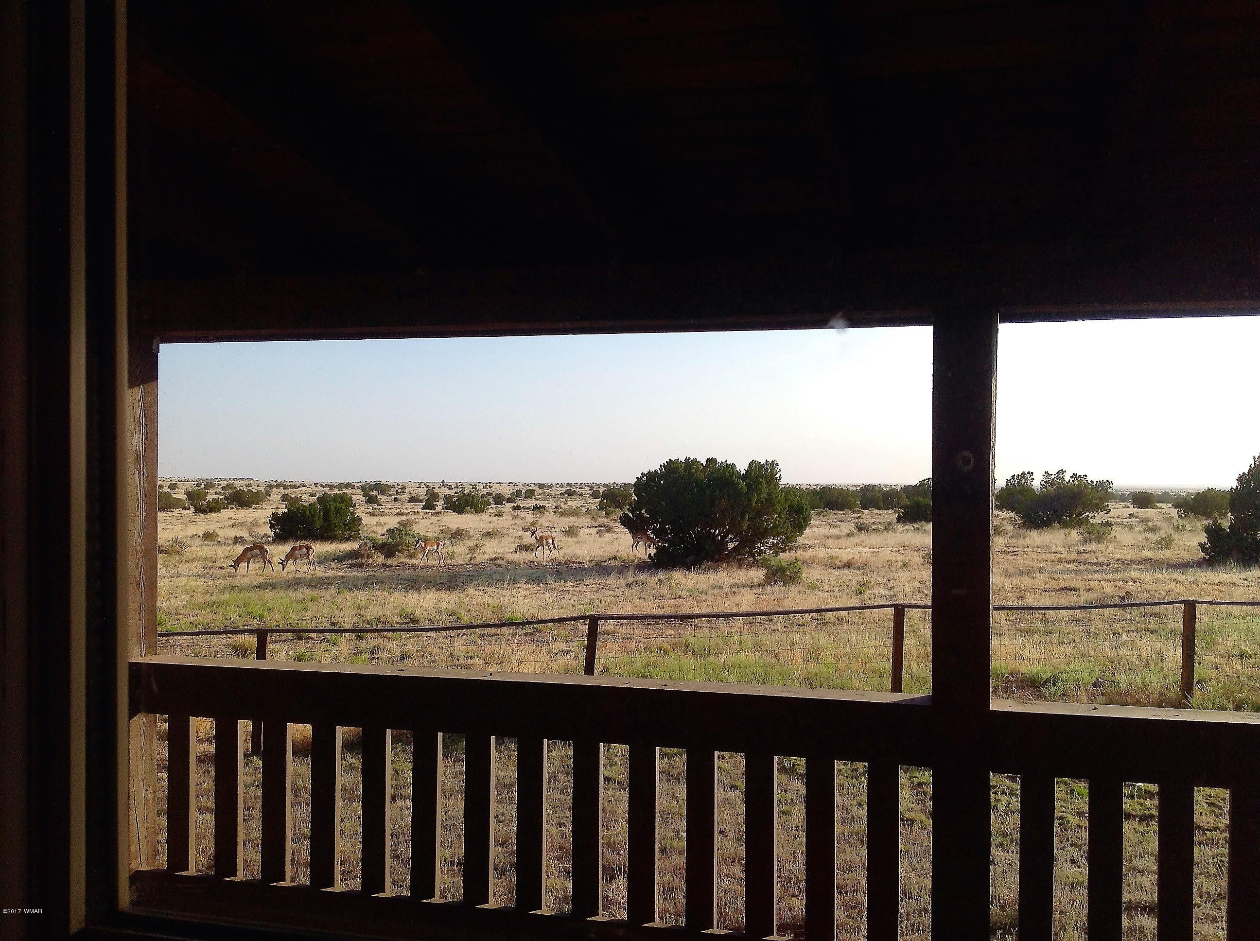 5641 Morgan Hl Road Heber, AZ 85928 - Photo 28 of 38