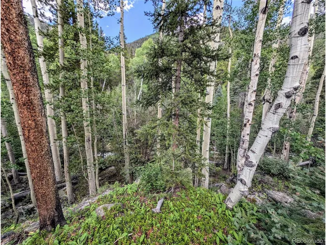 $725,000 | 23795 County Road 162, Nathrop, CO 81236