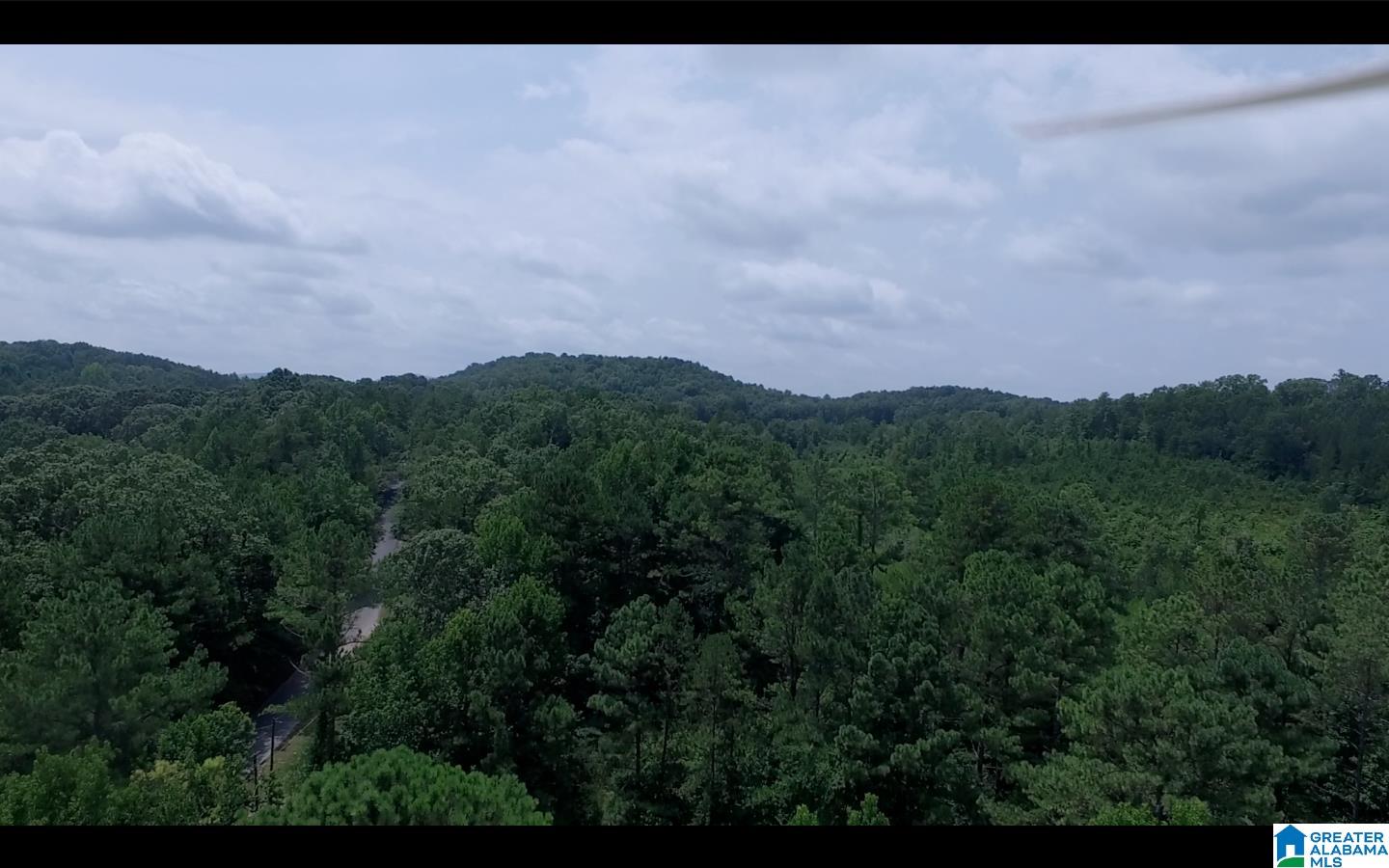 830 Mountain View Road, Unit 1 Talladega, AL 35160 - Photo 3 of 11