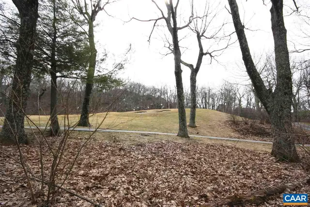 a view of a yard with a tree
