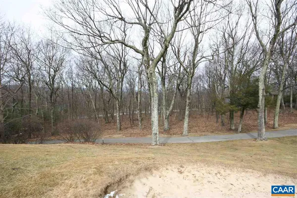 a view of outdoor space with deck and tree