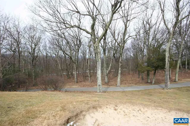 a view of outdoor space with deck and tree