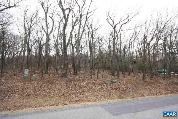 a backyard of a house with lots of trees