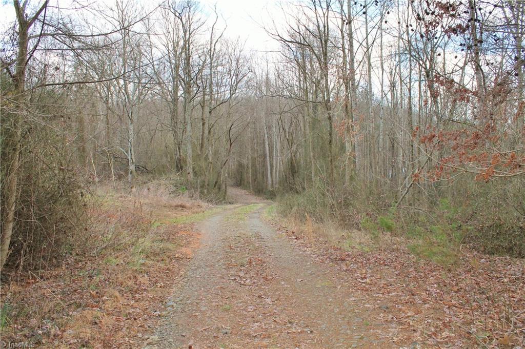 4440 T-Berry Road Jonesville, NC 28642 - Photo 7 of 7 Gallery Image 7