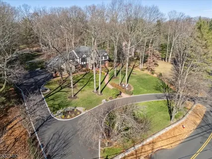 a view of a yard with large trees