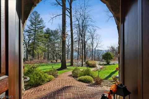 a view of backyard with plants and trees