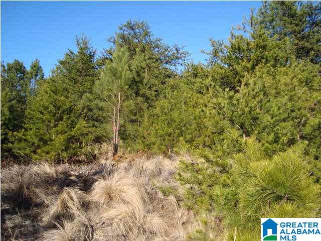 29 Highway Ac Al, Unit 33 Oneonta, AL 35121 - Photo 16 of 23