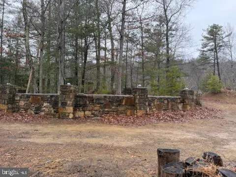 a view of a backyard with trees