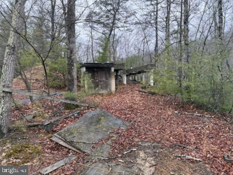 183 Wilson Road Capon Bridge, WV 26711 - Photo 5 of 10 a backyard of a house with lots of green space