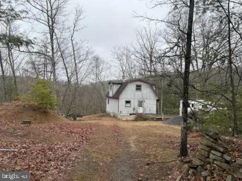 a view of a large tree with a yard