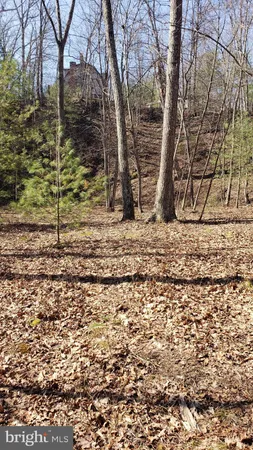 a view of a backyard of the house