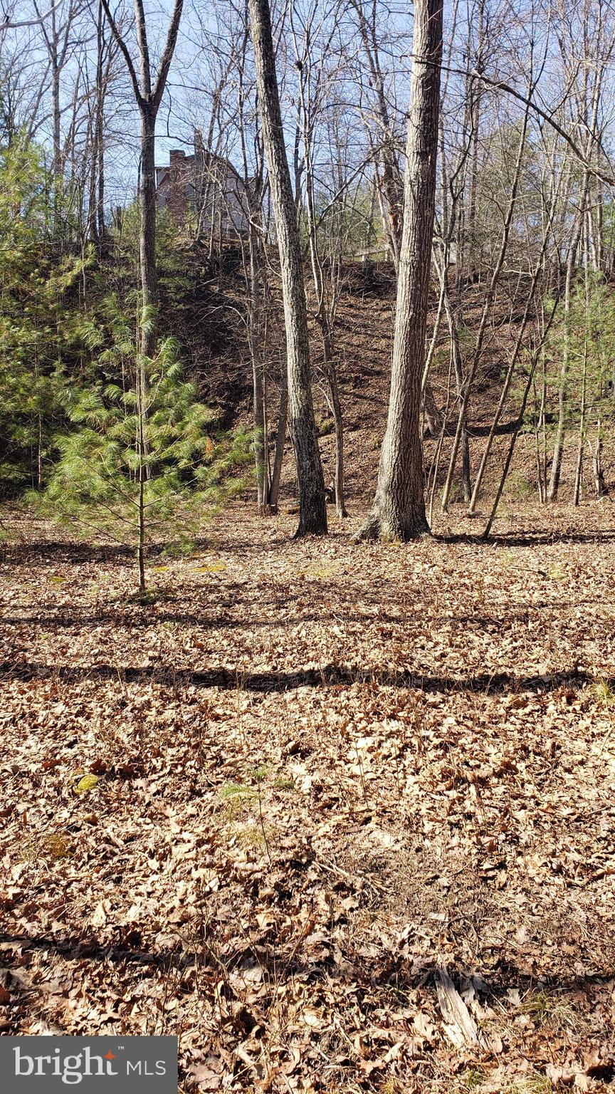 183 Wilson Road Capon Bridge, WV 26711 - Photo 7 of 10 a view of a backyard of the house