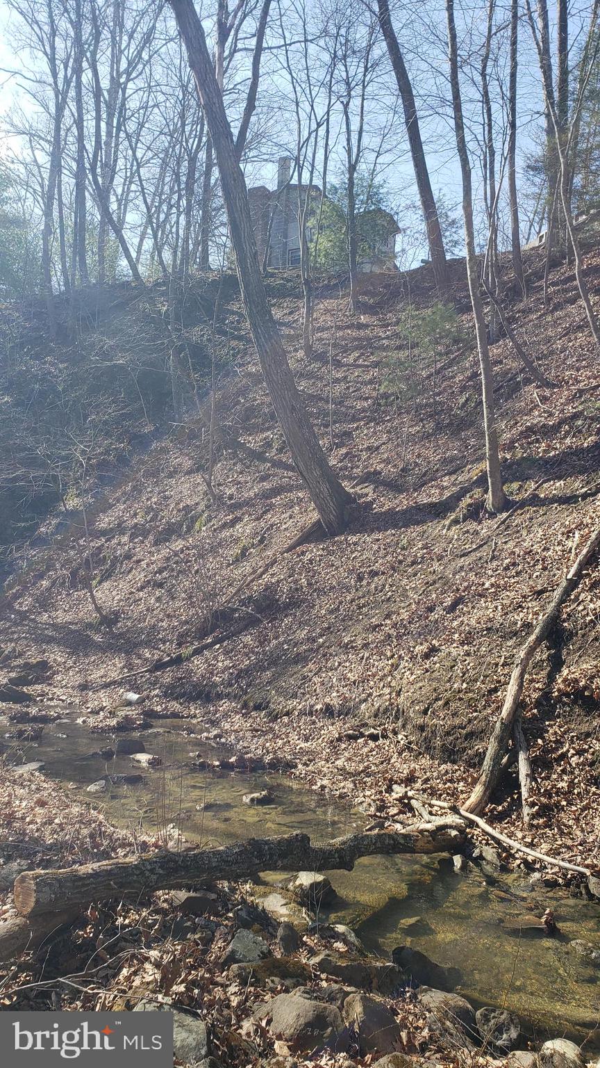 183 Wilson Road Capon Bridge, WV 26711 - Photo 9 of 10 a view of yard with trees