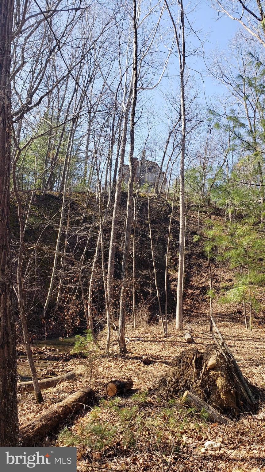 183 Wilson Road Capon Bridge, WV 26711 - Photo 10 of 10 a view of a yard with plants and large trees