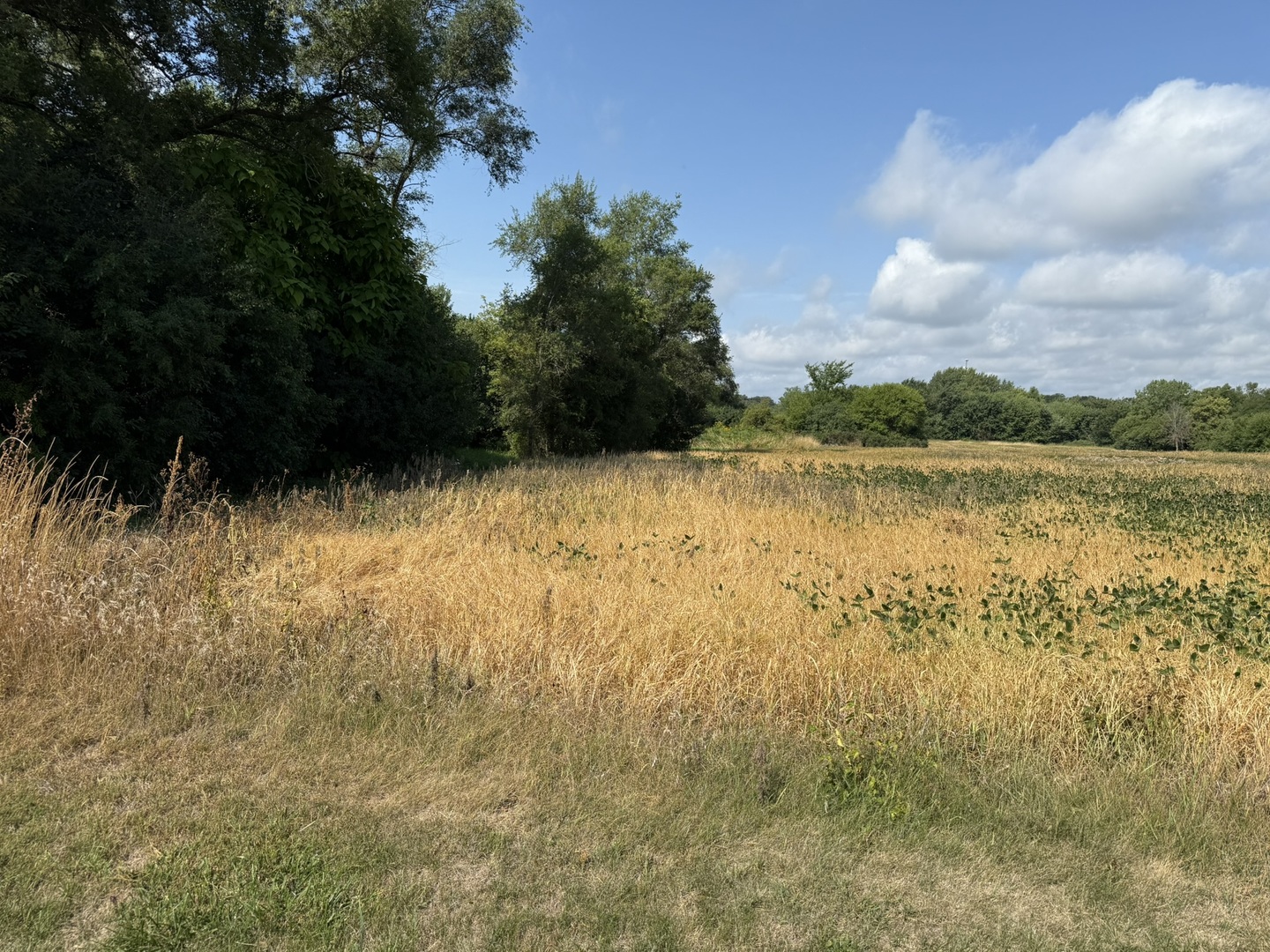 1404-apx) West Exchange Street Crete, IL 60417 - Photo 16 of 22