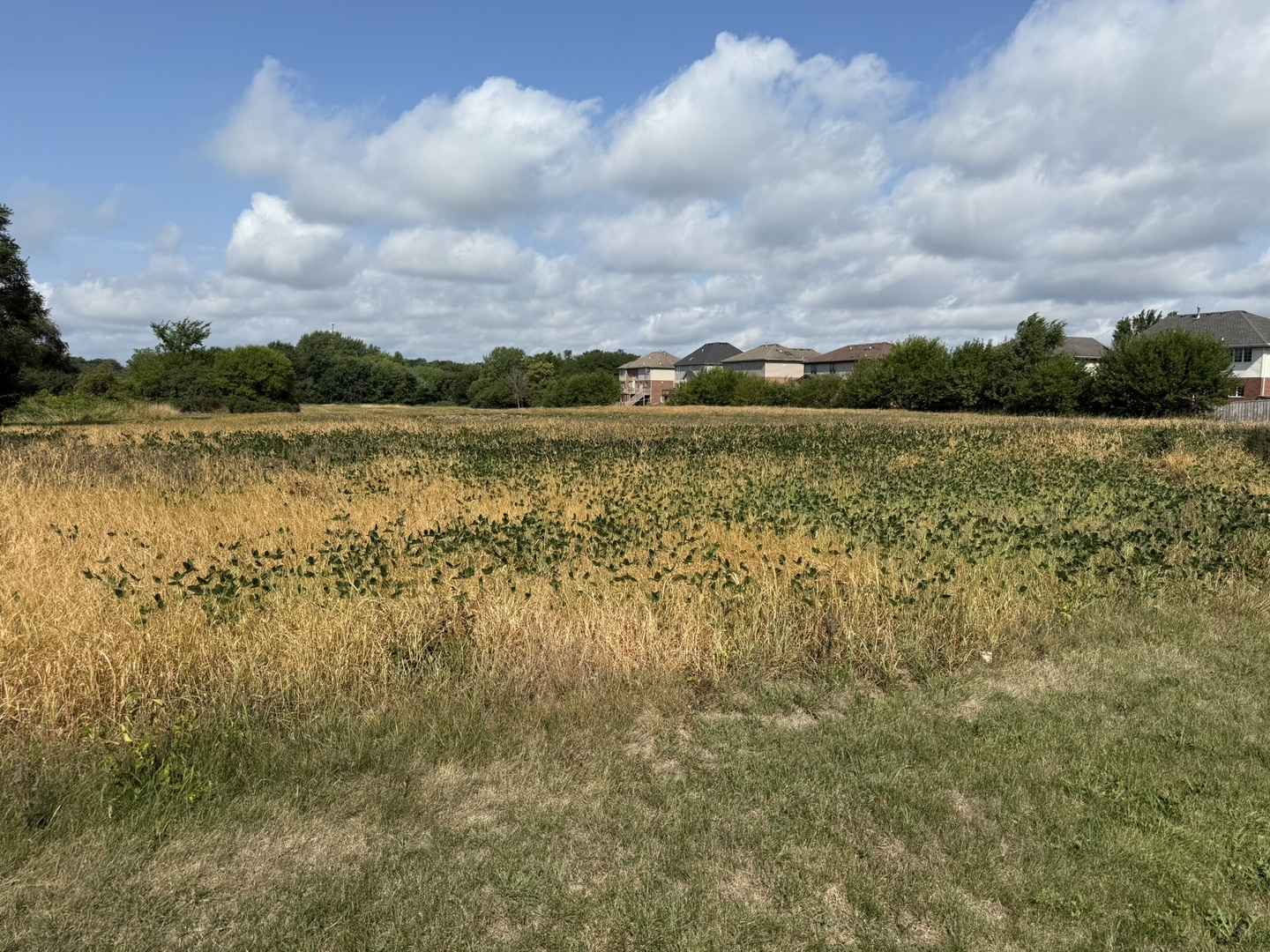 1404-apx) West Exchange Street Crete, IL 60417 - Photo 17 of 22 a view of a lake with houses in the back