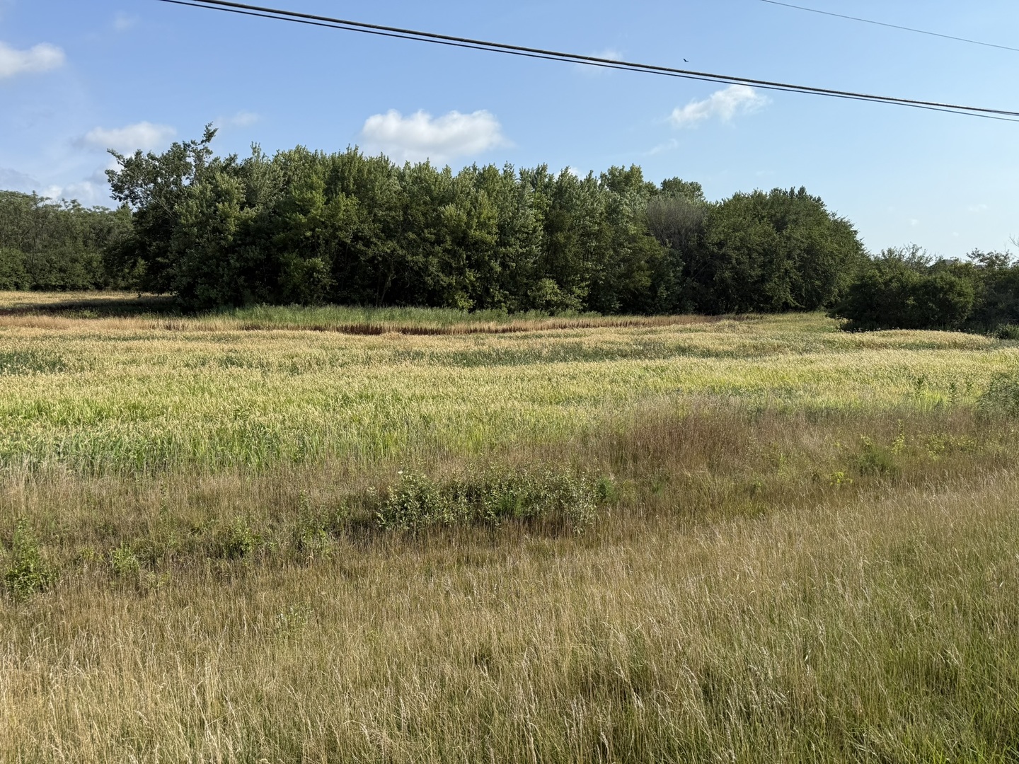 1404-apx) West Exchange Street Crete, IL 60417 - Photo 20 of 22 a view of a yard with a tree