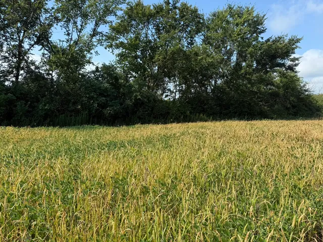 a view of wooden fence