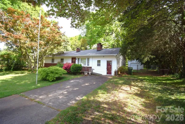 a view of a tree in a yard with large trees
