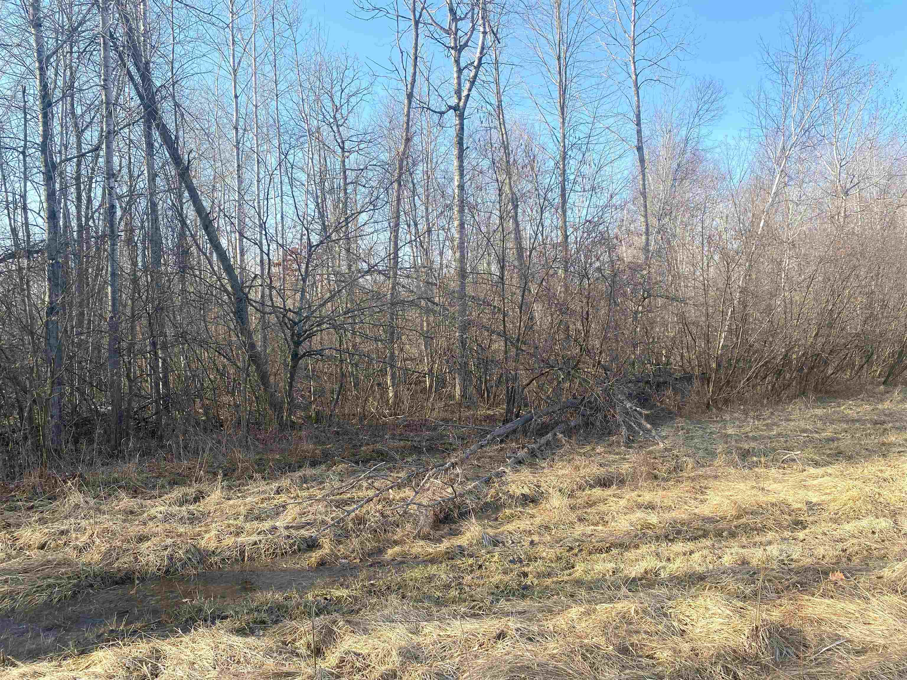 Tbd East Jordan Road Mount Pleasant, MI 48858 - Photo 13 of 15