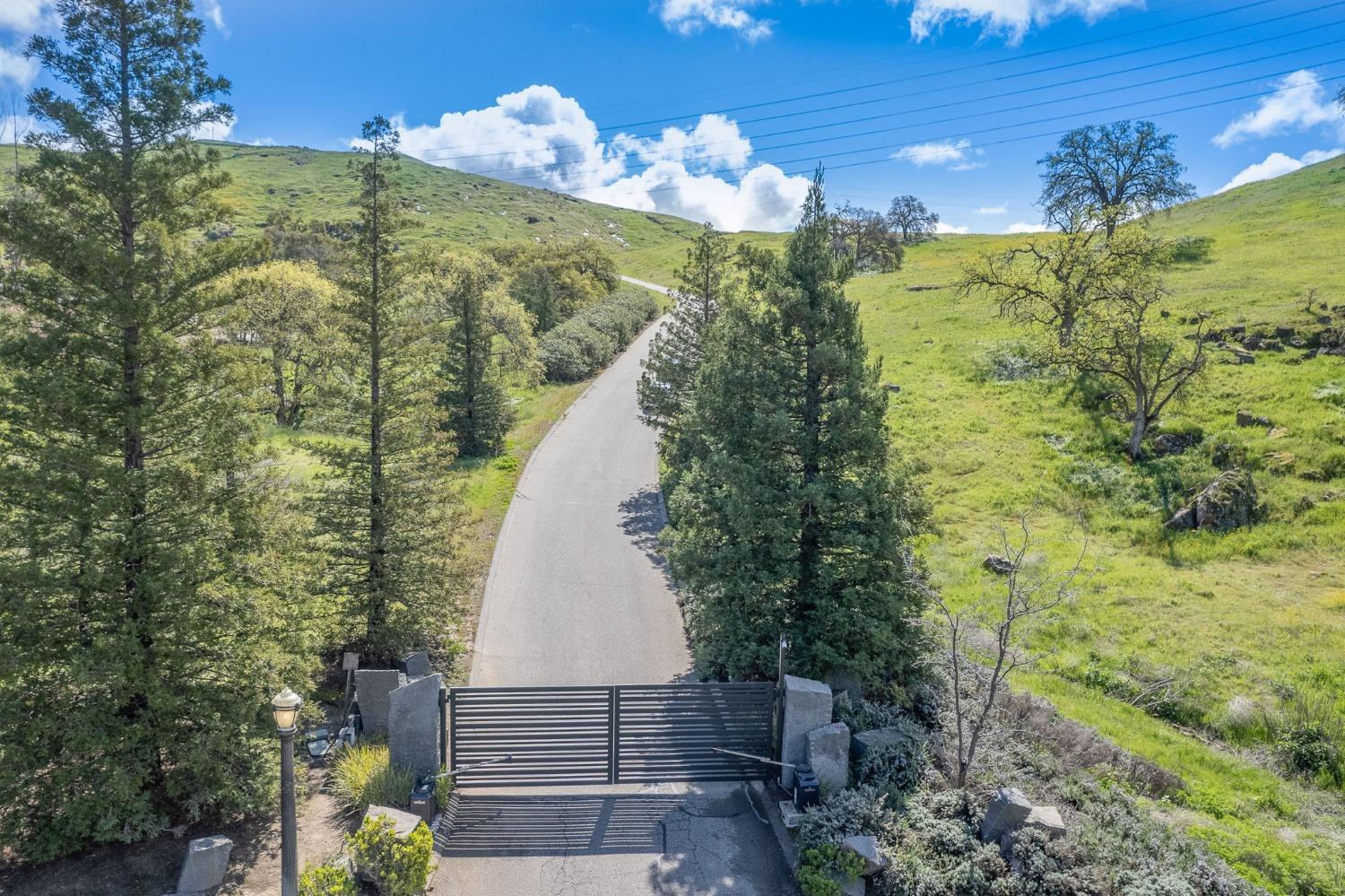 1 Summit Mountain Road Clovis, CA 93619 - Photo 8 of 13 a view of a flower in a yard