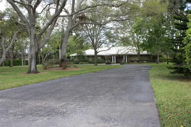 a view of a park with large trees