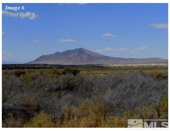a view of a lush green field