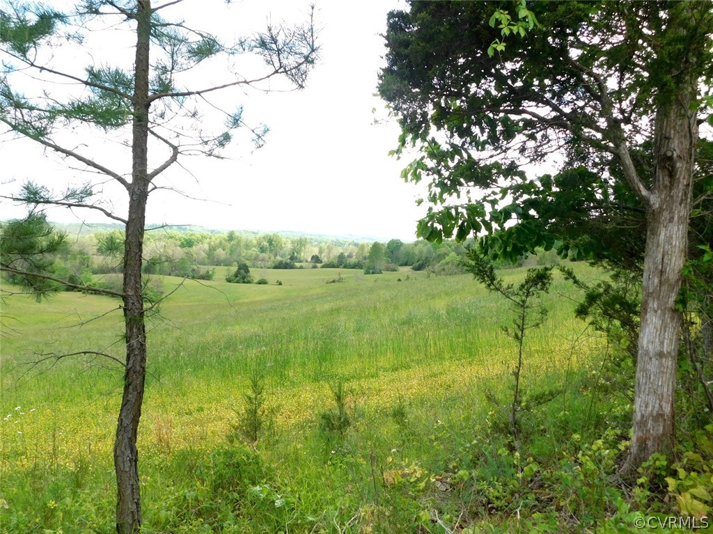 470 Ridge Road Prospect, VA 23960 - Photo 48 of 49