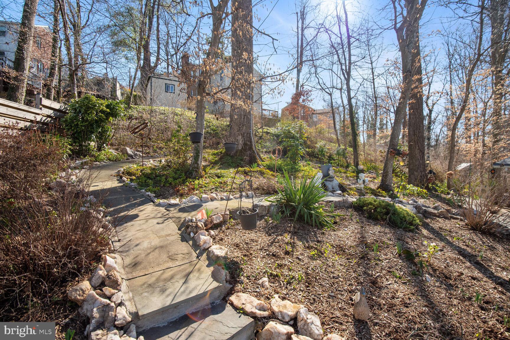 7605 Beech Tree Road Bethesda, MD 20817 - Photo 51 of 52