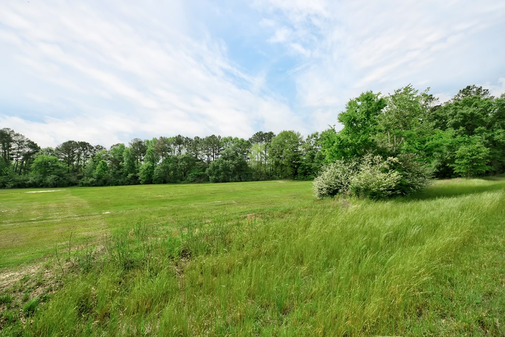 Lot 1 McCord Road Dothan, AL 36301 - Photo 7 of 10