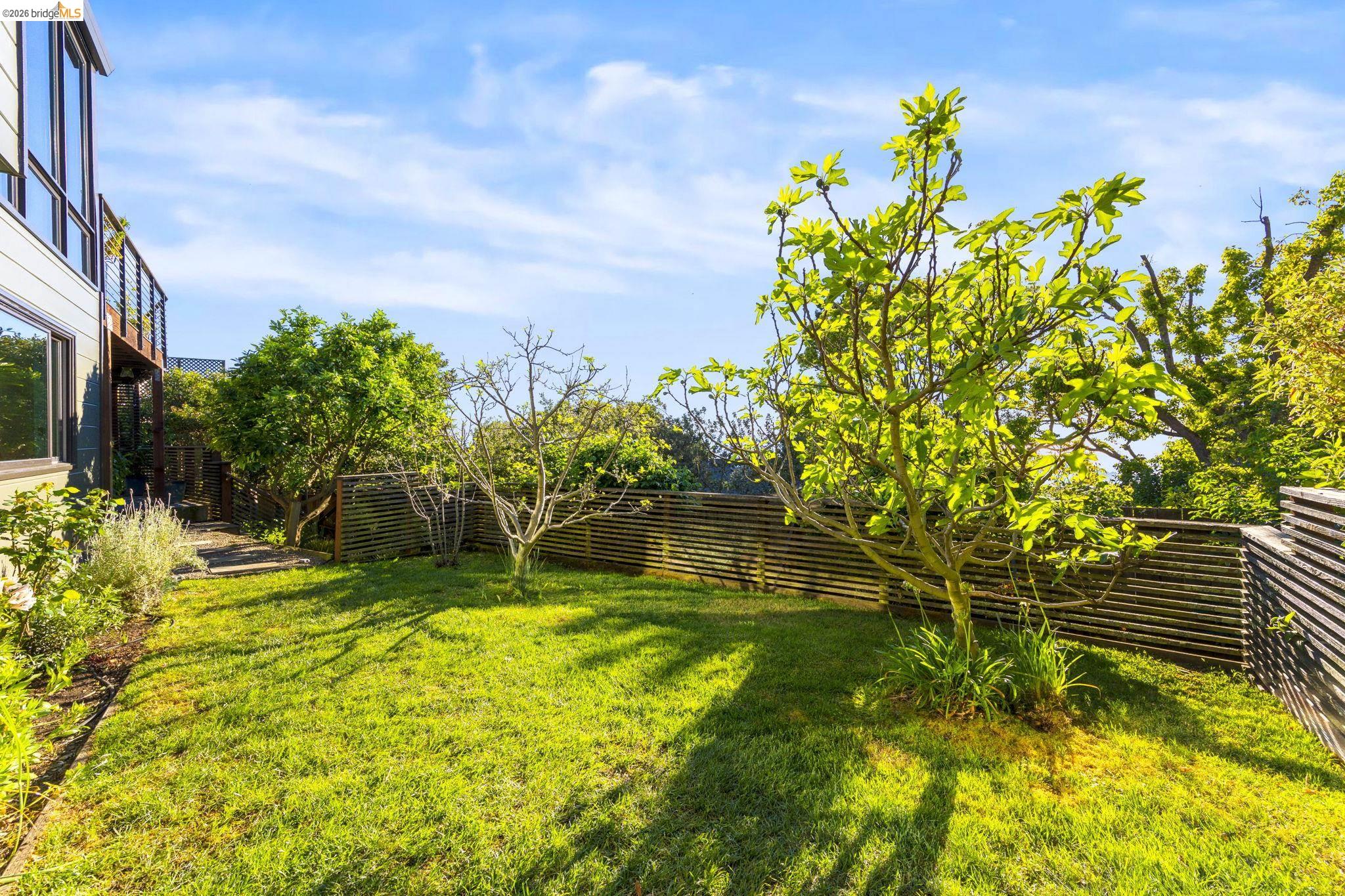 470 Spruce Street Berkeley, CA 94708 - Photo 45 of 59