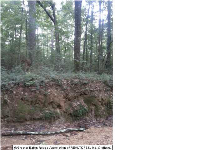 Lot 6-7 Old Liberty Road South Clinton, LA 70722 - Photo 1 of 1 Gallery Image 1