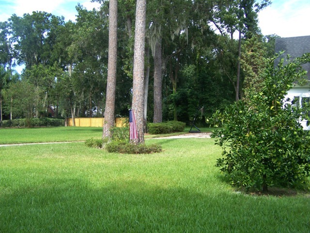 12142 Mandarin Road Jacksonville, FL 32223 - Photo 46 of 50 a view of a tree in front of a house