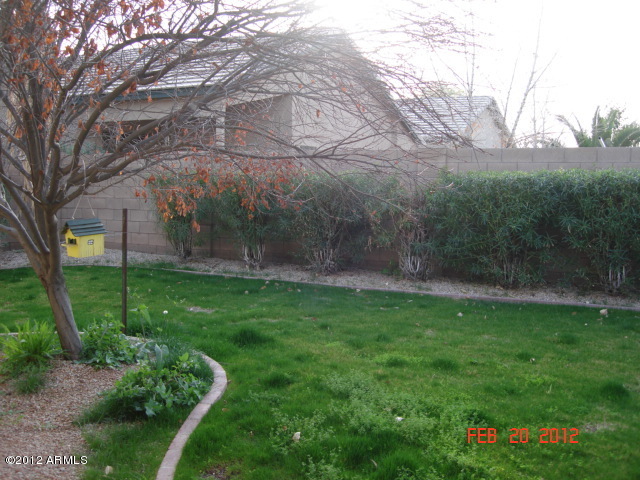 1064 South Riata Street Gilbert, AZ 85296 - Photo 12 of 13 Back Yard
