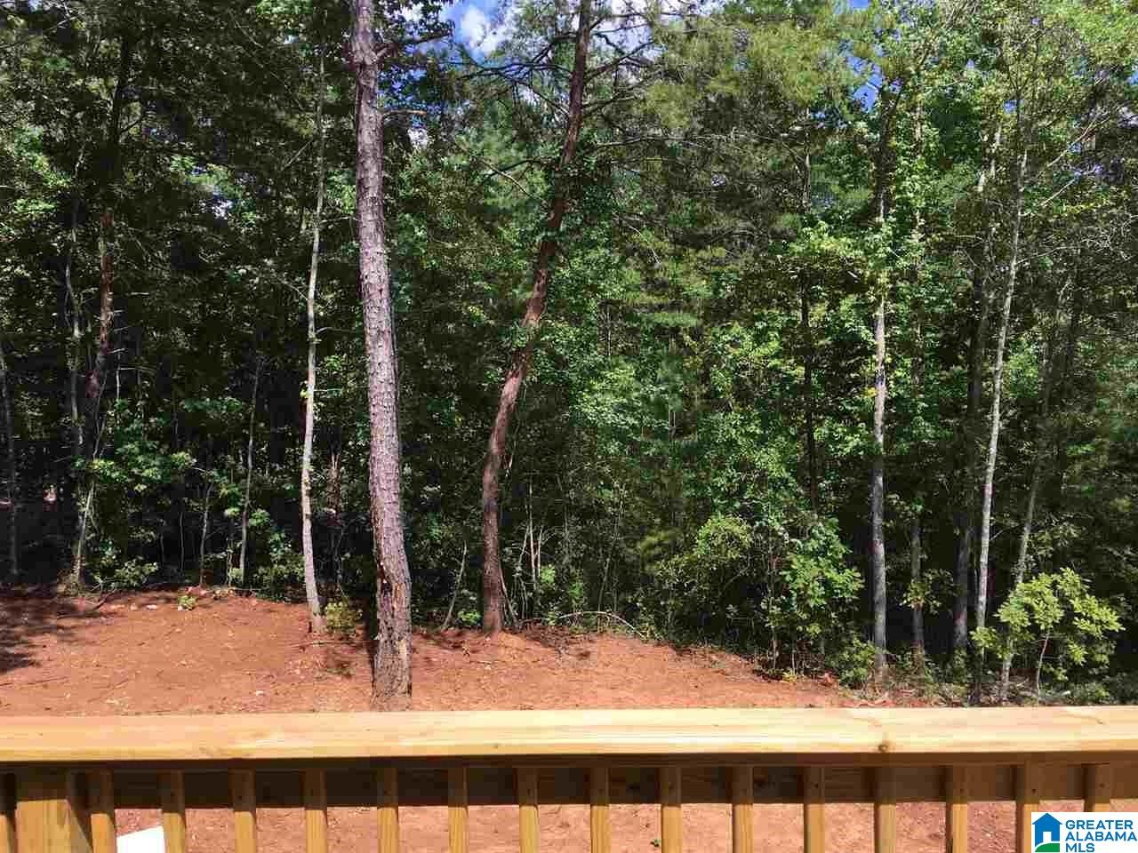 3013 Chelsea Ridge Trail Columbiana, AL 35051 - Photo 9 of 17