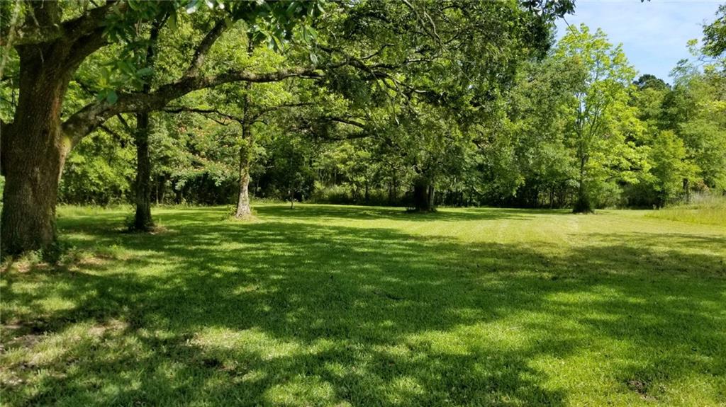18779 Sister's Road Ponchatoula, LA 70454 - Photo 12 of 14 Gallery Image 12