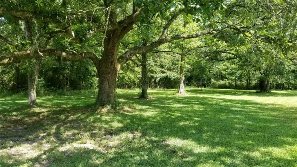18779 Sister's Road Ponchatoula, LA 70454 - Photo 13 of 14 Gallery Image 13