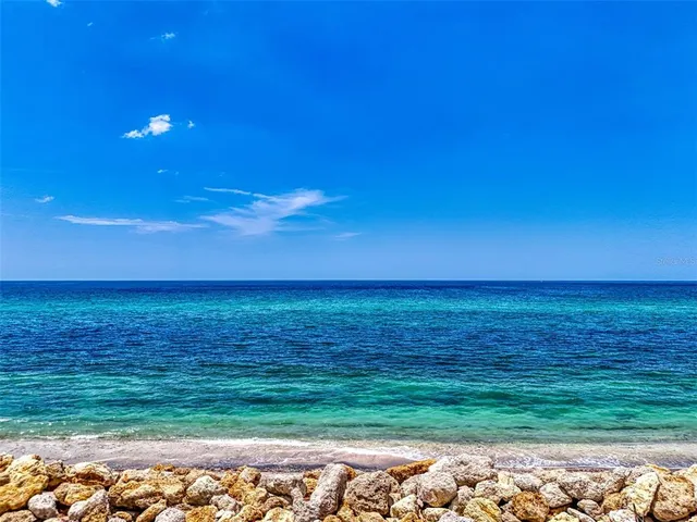 a view of an ocean from a yard