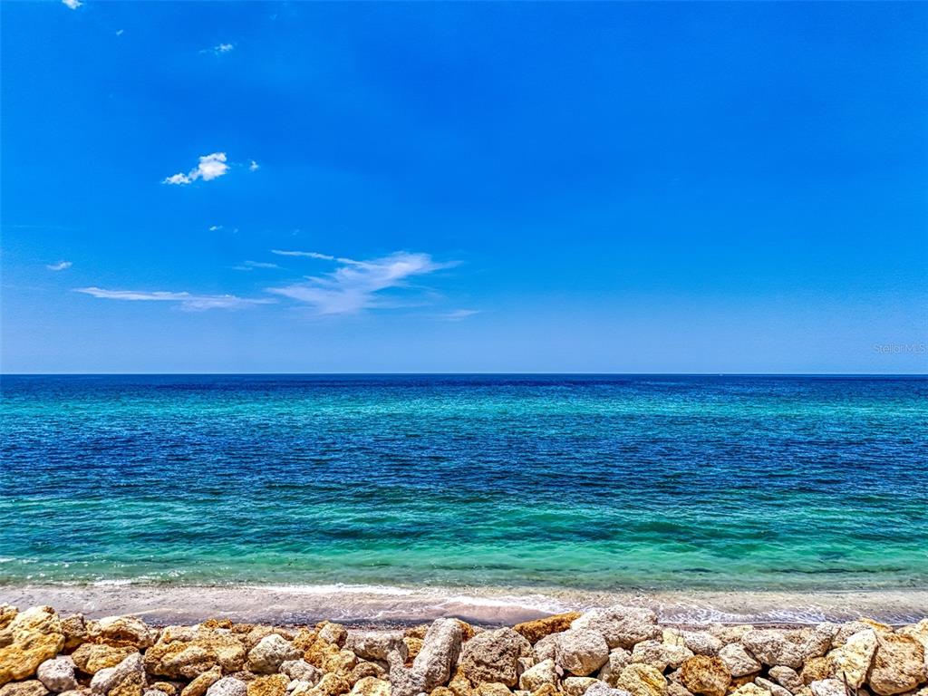 7410 Manasota Key Road Englewood, FL 34223 - Photo 45 of 45 a view of an ocean from a yard