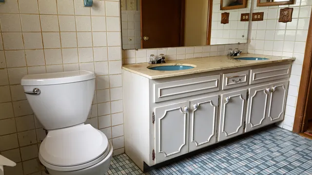 $699,998 | 494 Atwood Court, Elmhurst, IL 60126