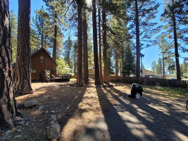 a view of a street with trees on both side of it