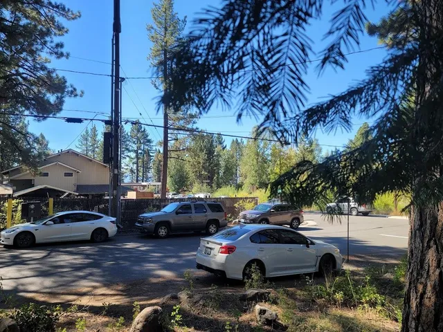 a view of a backyard with large trees