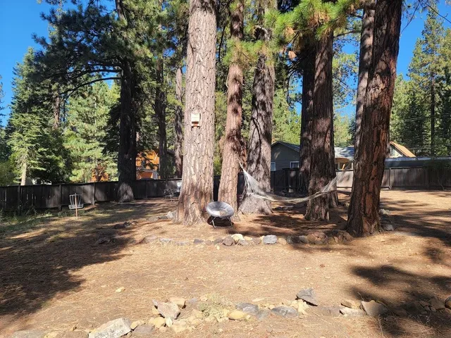 a view of a backyard with tree s