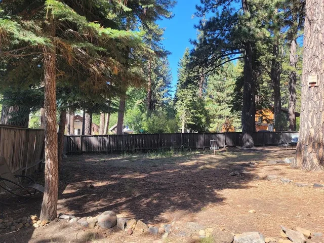 a view of road and trees