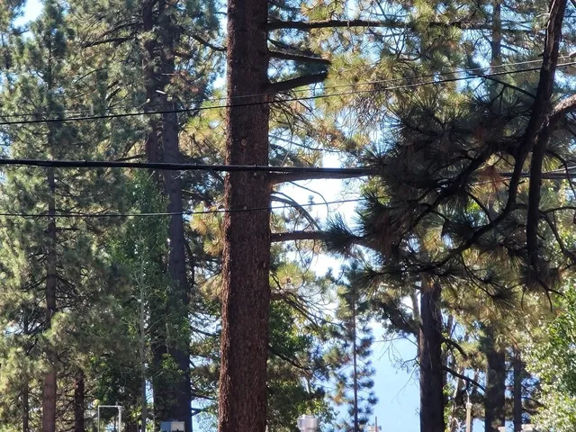 a view of a back yard with a patio