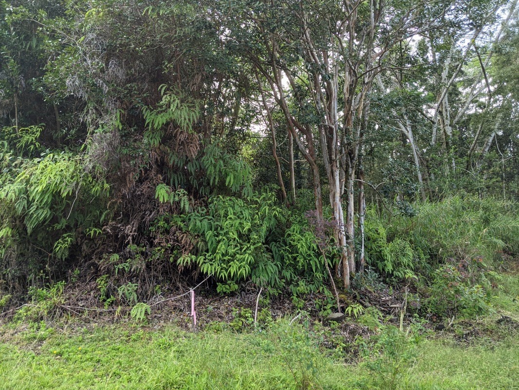 487 Lot 5 Akolea Road Hilo, HI 96720 - Photo 4 of 6